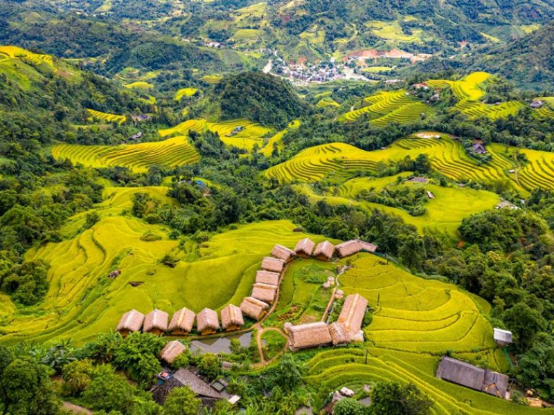 Northern Vietnam Rice Harvest: Top 7 Places & Best Time Northern Vietnam Rice Harvest: Top 7 Places & Best Time
