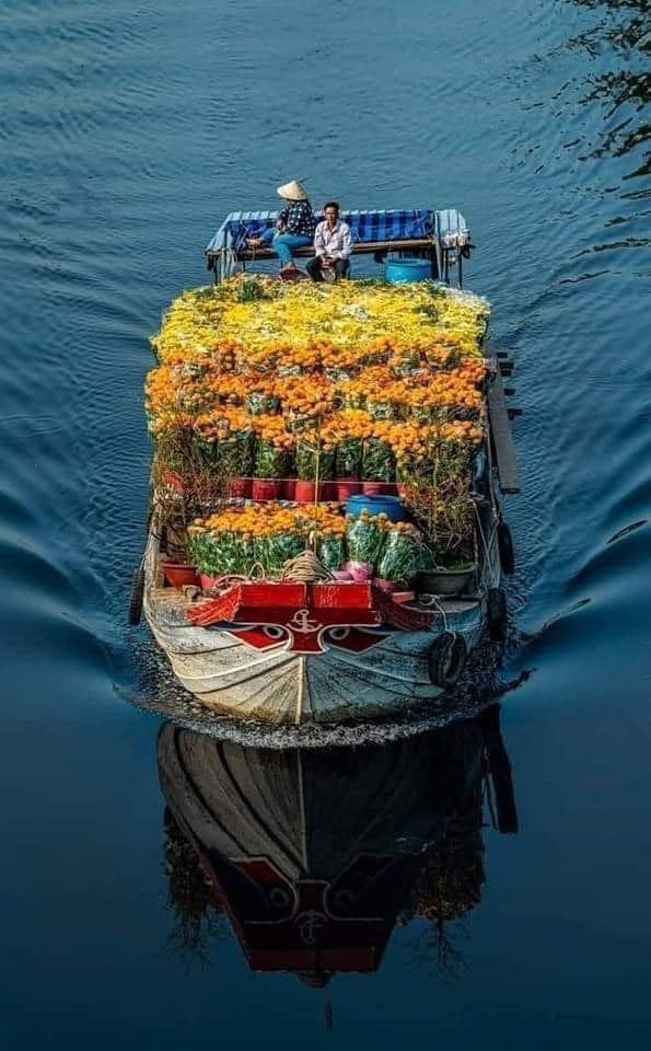 Mekong Delta