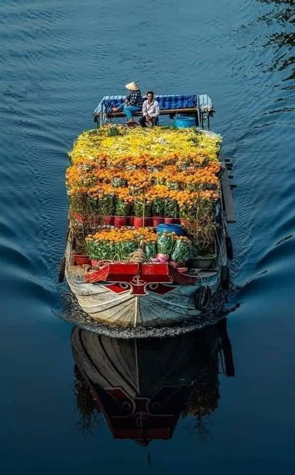 Mekong Delta