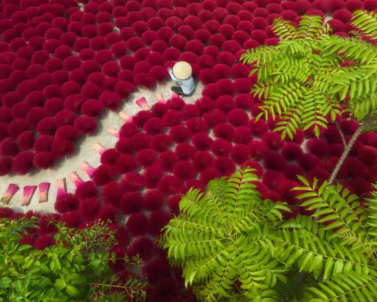 Quang Phu Cau Incense Village (2)