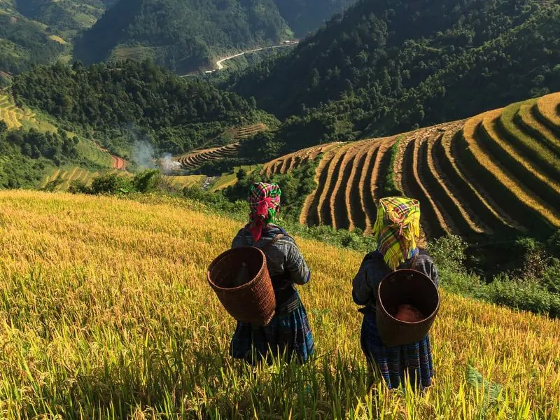 Sapa: Misty mountains, terraced rice fields, ethnic cultures, and breathtaking trekking adventures.