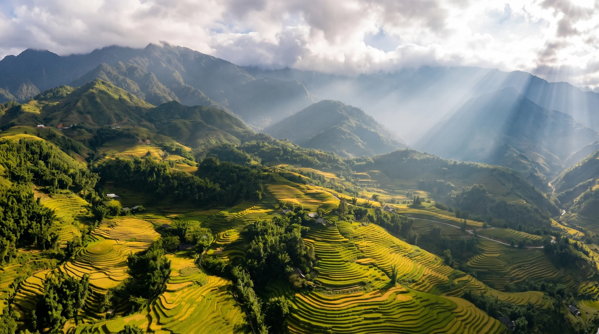 Sapa Image