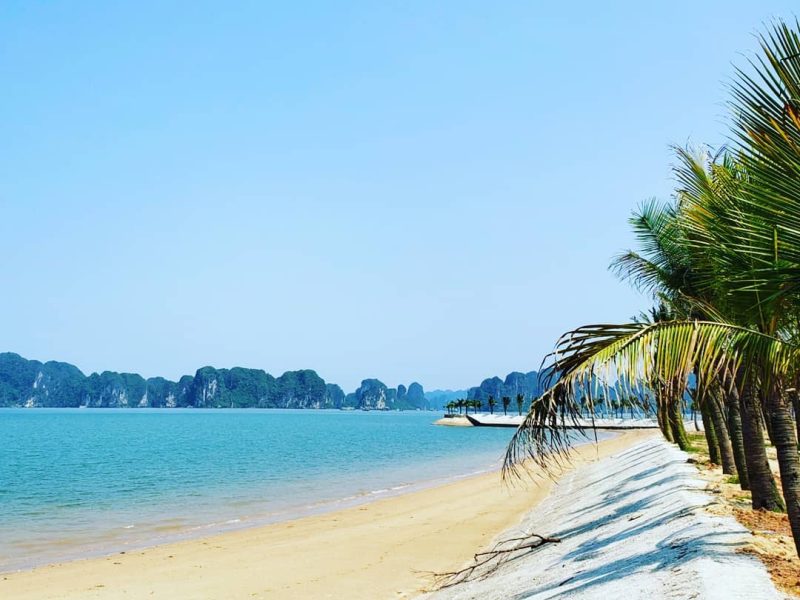 Tuan Chau Island is a haven for nature lovers (Source: Collected) Tuan Chau Island is a haven for nature lovers (Source: Collected)