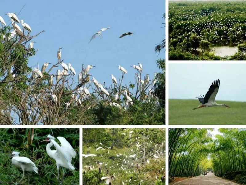 History and Background