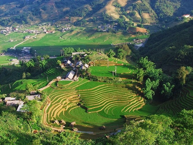 Northern Vietnam Rice Harvest: Top 7 Places & Best Time The stunning landscapes of Ta Van Village (Source-Collected)