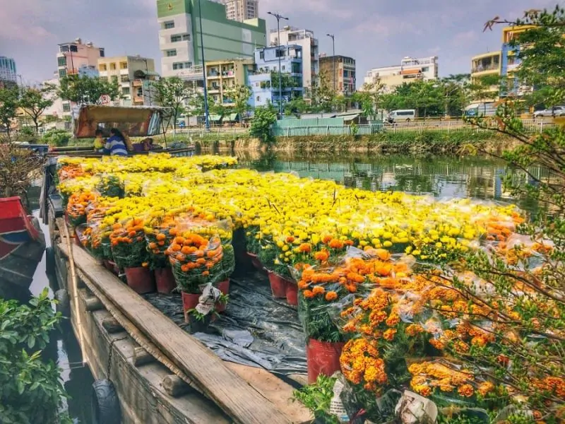 Saigon is overwhelmed with beautiful flowers during the Tet holiday (Source: Collected)