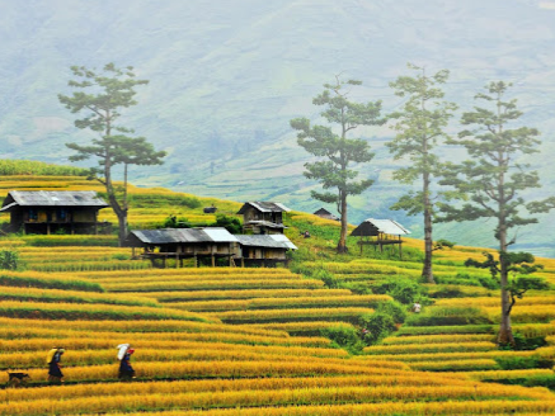 Moc Chau Plateau in Son La Scenic Beauty