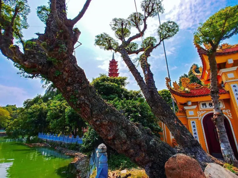 Beautiful architecture, historic artifacts and a peaceful and serene environment in the pagoda. (@tu_pham1994)