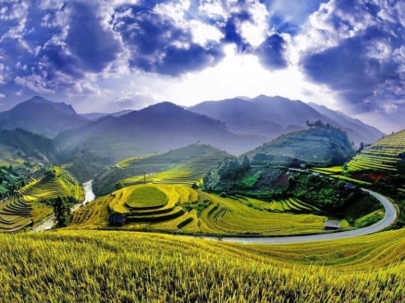 The terrace rice paddies in Lung Cu (Source: Collected)