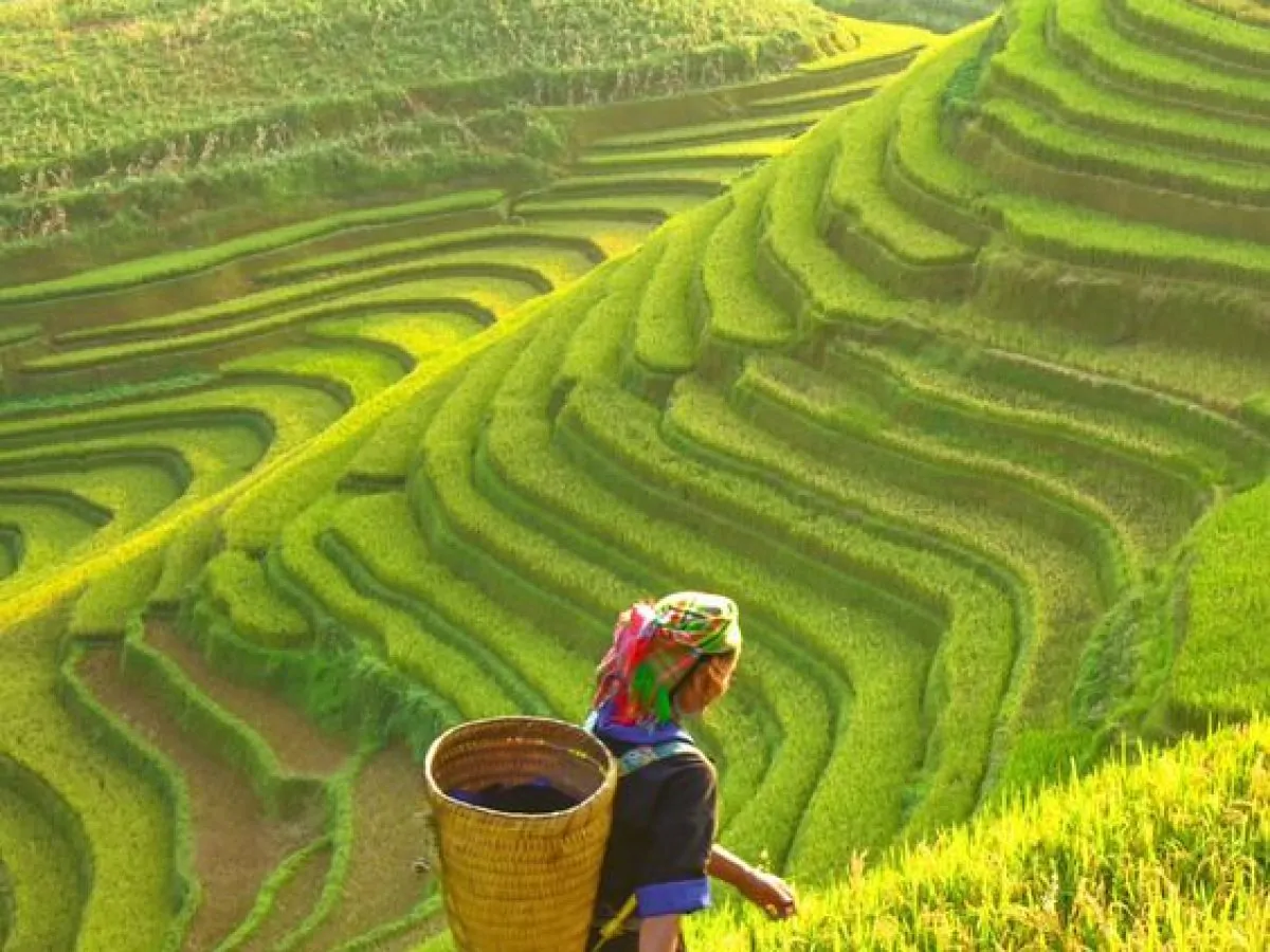 Things to Do in Ha Giang