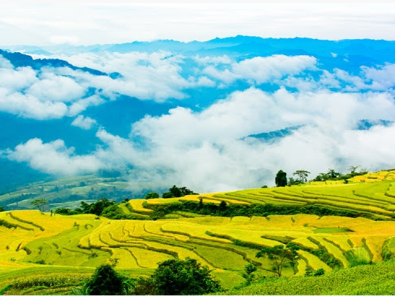 Hong Thai Terraced Fields (Na Hang, Tuyen Quang)