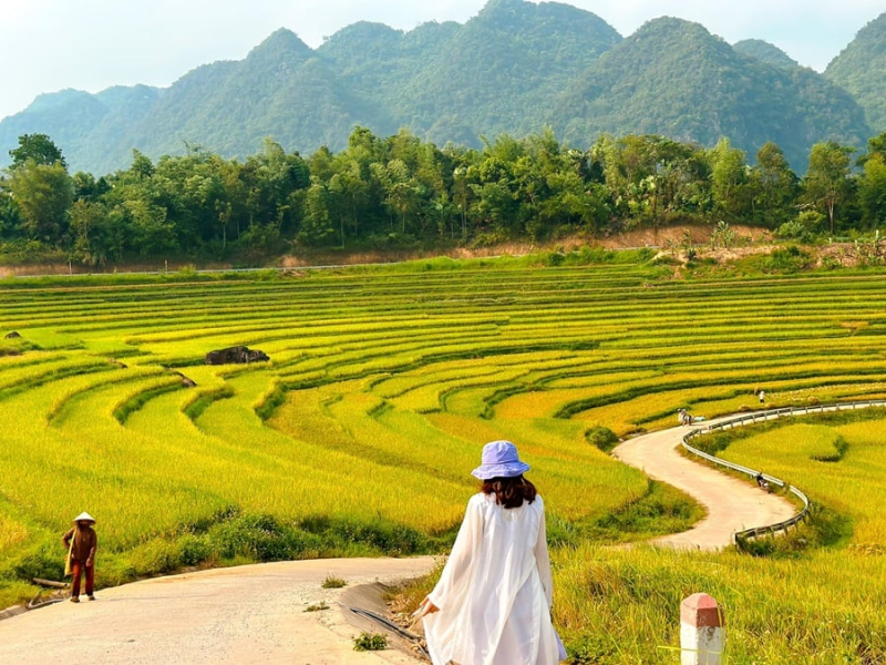 Pu Luong Terraced Fields (Thanh Hoa)