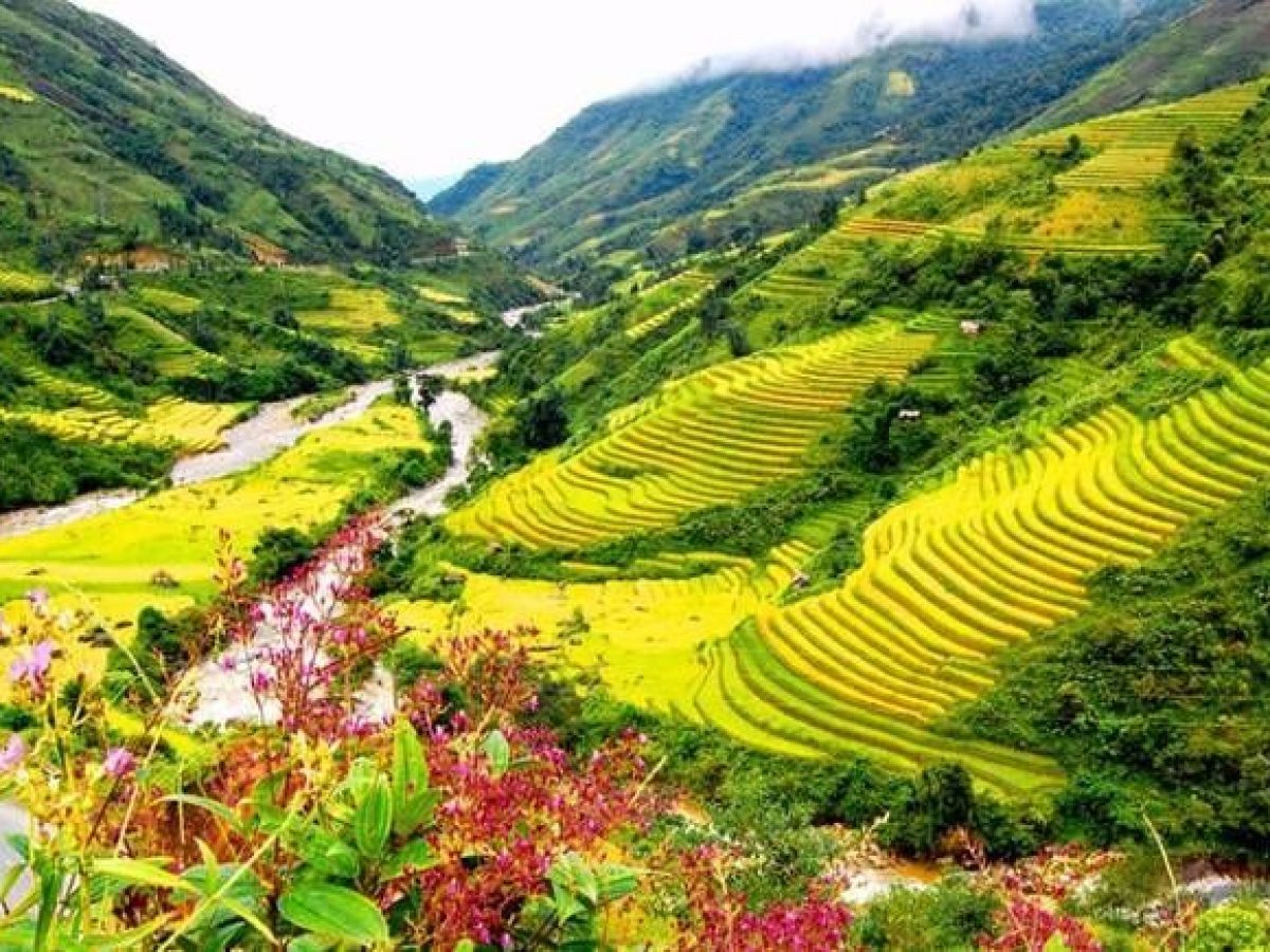 Muong Hoa Valley in Sapa