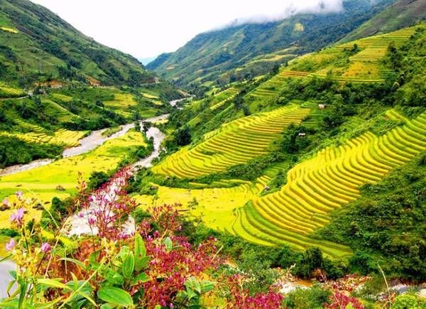 Muong Hoa Valley in Sapa
