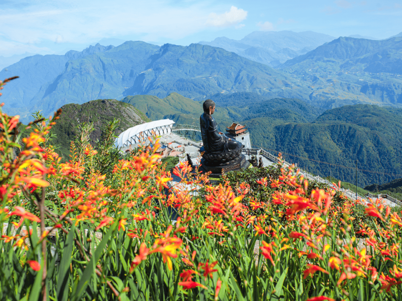 Fansipan Mountain in Sapa, Vietnam Nature & Biodiversity on Fansipan