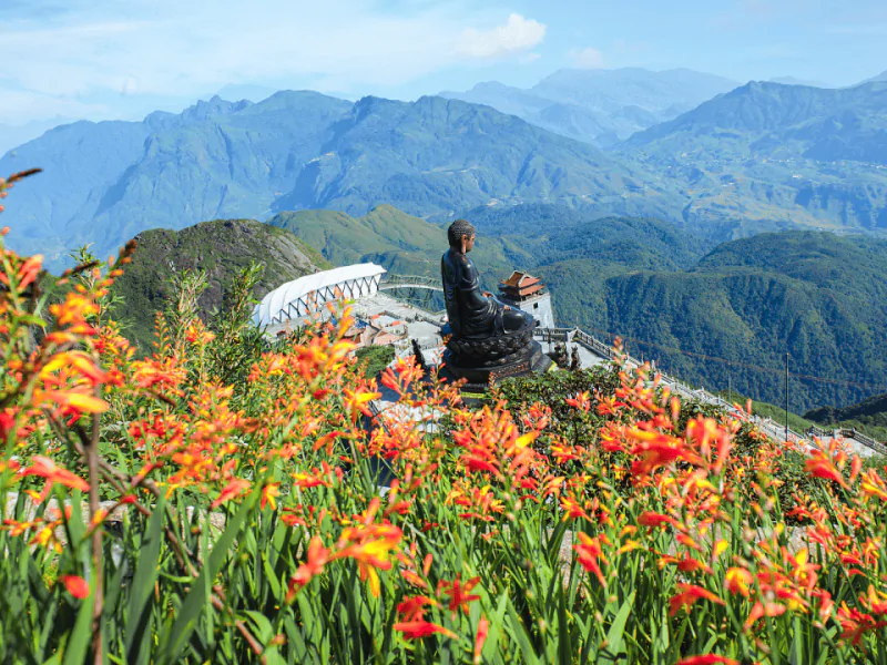  Nature & Biodiversity on Fansipan