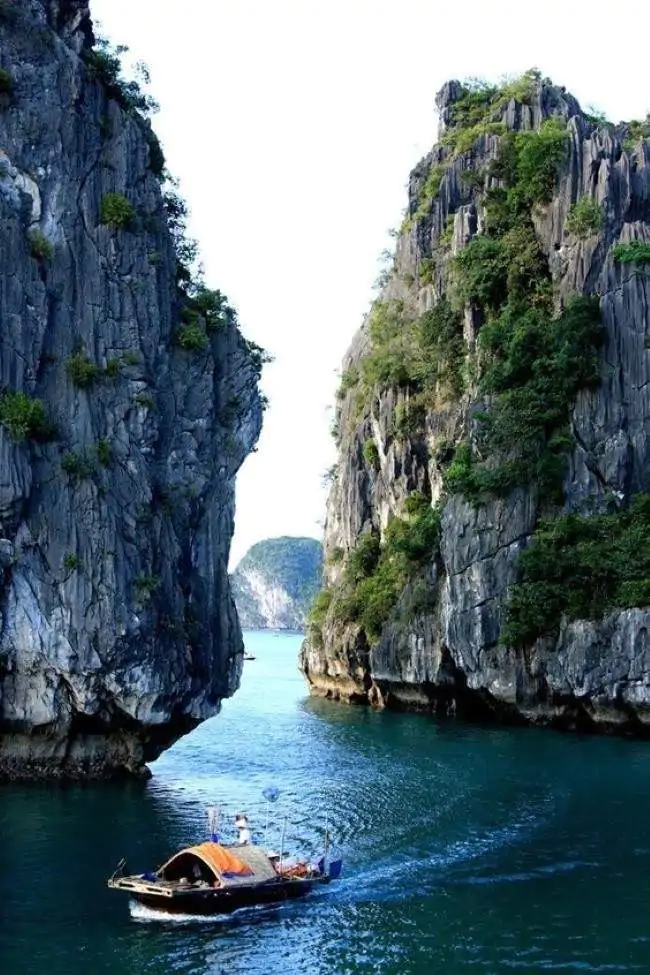 Halong tour packages-https://vietnamdiscoverytours.com/