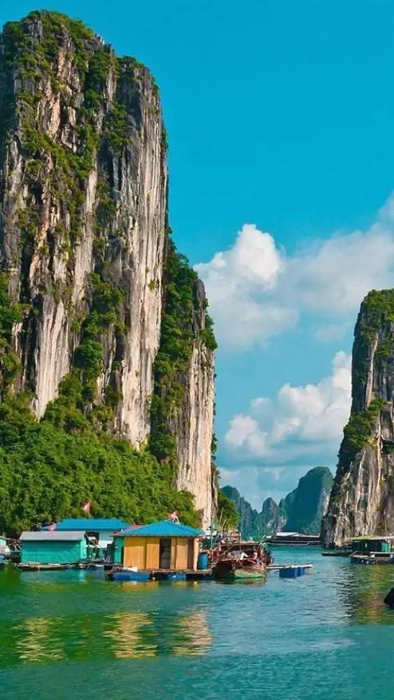 Halong tour packages-https://vietnamdiscoverytours.com/