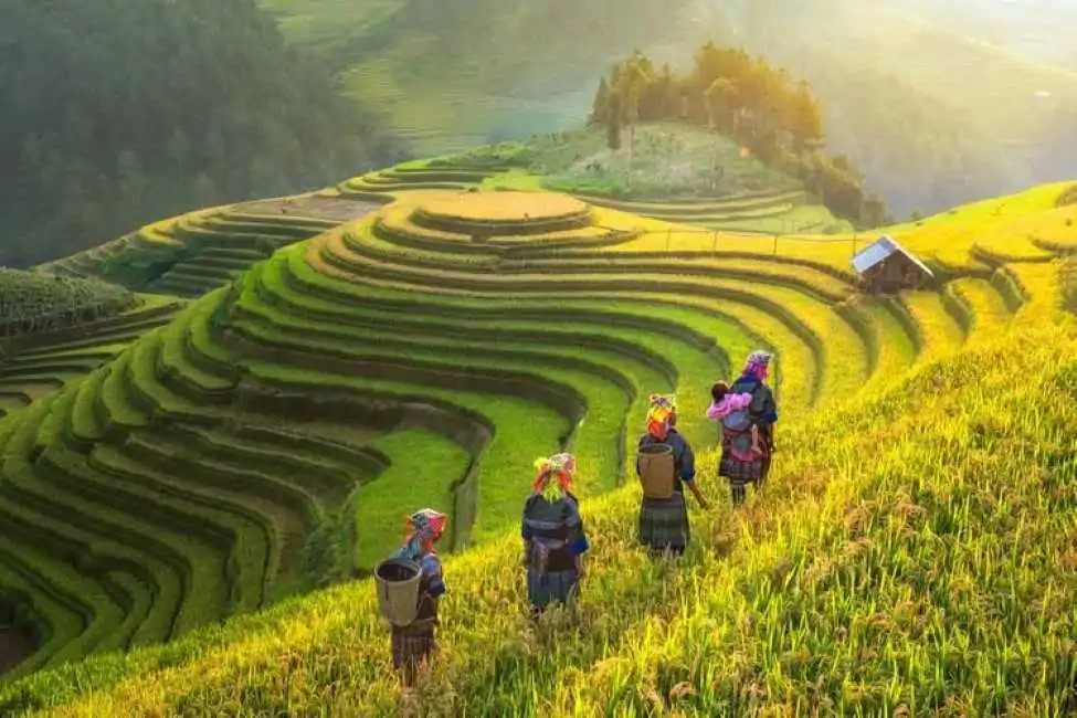 Sapa tour packages-https://vietnamdiscoverytours.com/