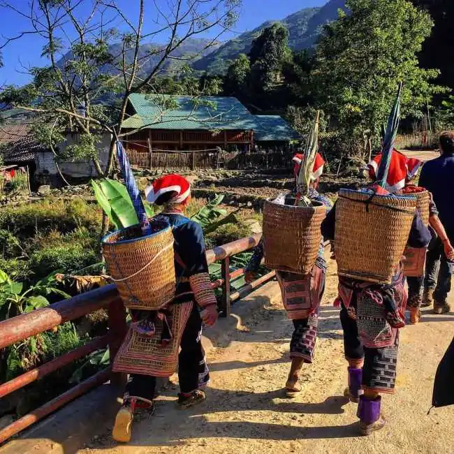 Sapa tour packages-https://vietnamdiscoverytours.com/