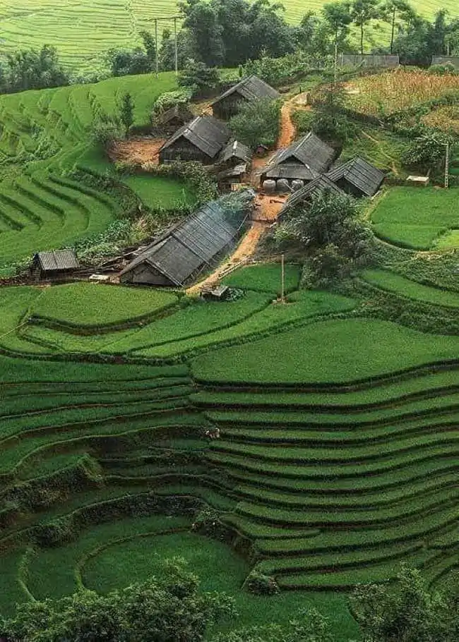 Unforgettable Sapa & Bac Ha Market Tour (3D2N) | Daily Departure