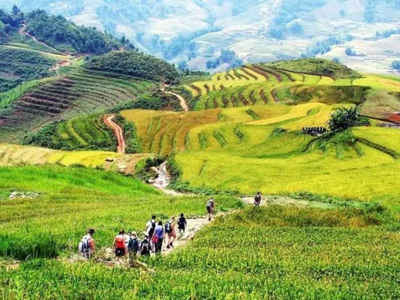 Muong Hoa Valley in Sapa trekking in Sapa