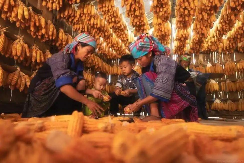 Sapa tour packages-https://vietnamdiscoverytours.com/