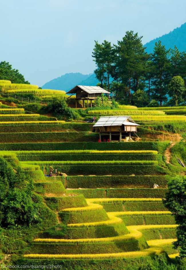 Sapa | Vietnam Discovery Tours