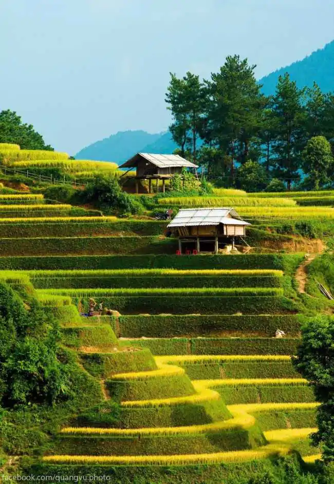 Sapa tour packages-https://vietnamdiscoverytours.com/