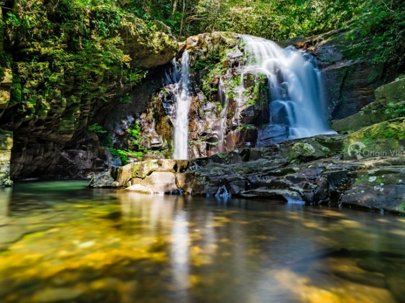 What to Do at Bach Ma National Park? What to Do at Bach Ma National Park?