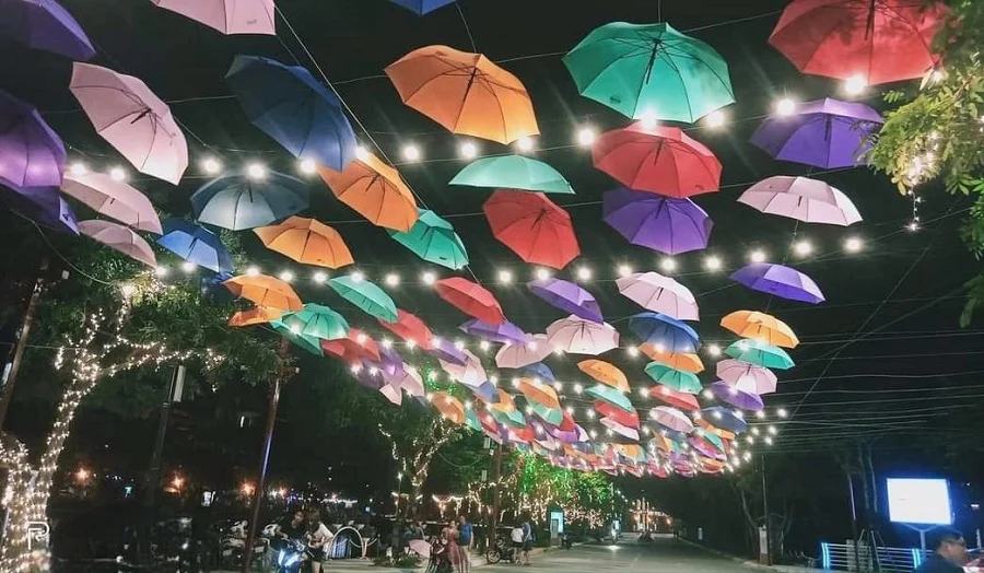Stroll around Trinh Cong Son Street (Source: Collected)