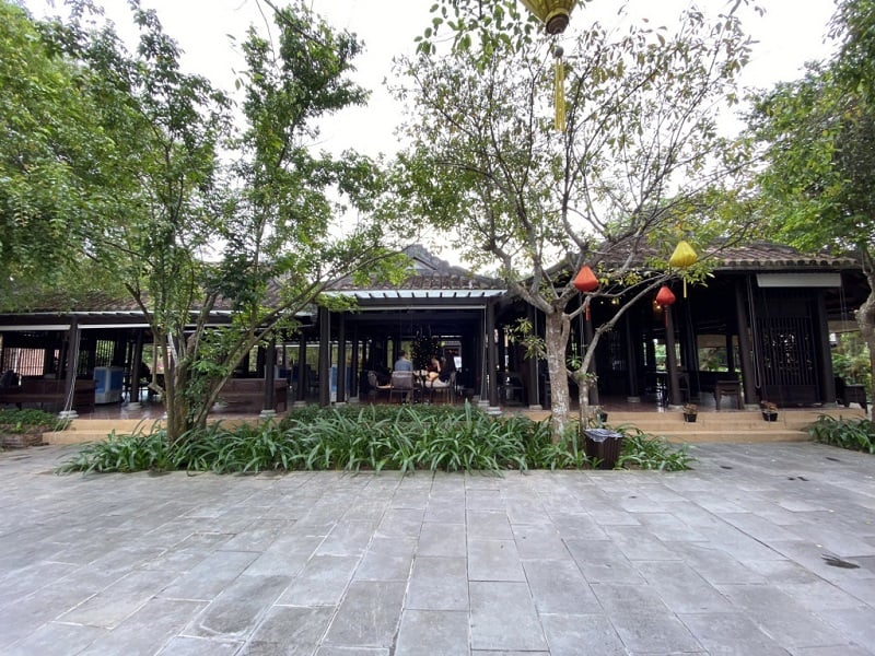 The ancient mulberry of more than 10 meters high at Hoi An Silk Village (Source: Collected) The ancient mulberry of more than 10 meters high at Hoi An Silk Village (Source: Collected)