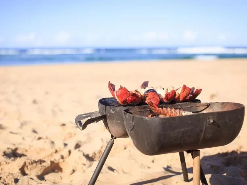 BBQ parties on the beach are always attractive to tourists (Source: collected) BBQ parties on the beach are always attractive to tourists (Source: collected)