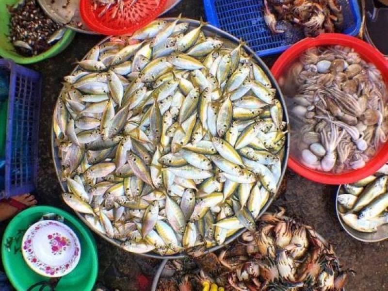 A variety of seafood sold at Ganh Dau Phu Quoc market (Source: Collected) A variety of seafood sold at Ganh Dau Phu Quoc market (Source: Collected)