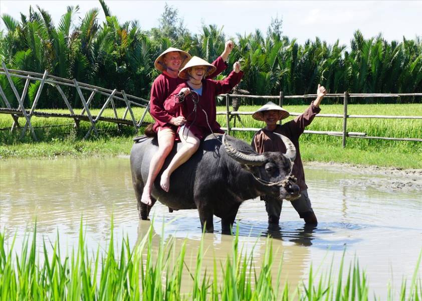 Water Buffalo Riding in Hoi An: Village Experience