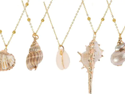 Seashell Jewelry-Source: Collected