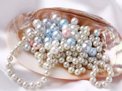 Seashell Jewelry-Source: Collected