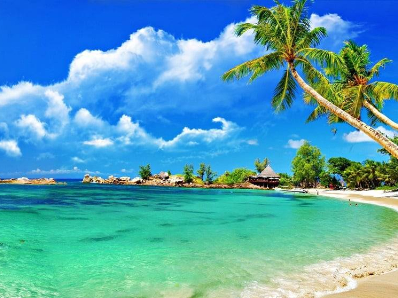 Bai Dai Beach Phu Quoc is one of the most beautiful beaches on the planet Bai Dai Beach Phu Quoc is one of the most beautiful beaches on the planet