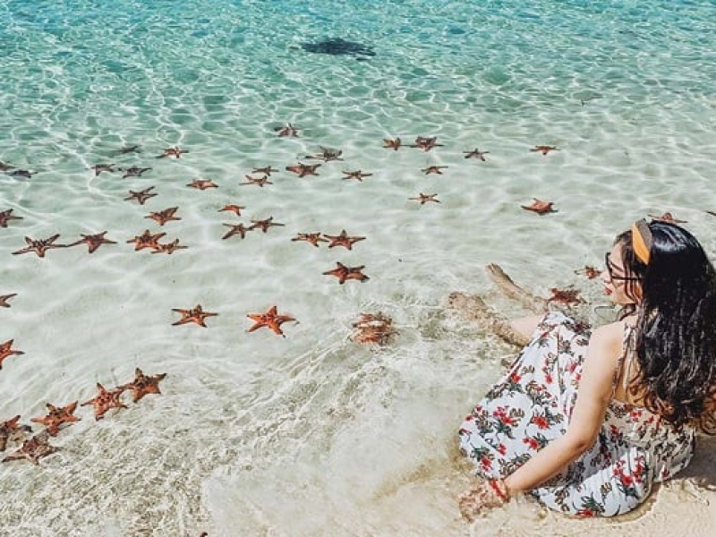 beautiful starfish in Starfish Beach Phu Quoc beautiful starfish in Starfish Beach Phu Quoc