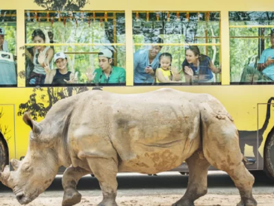 Vinpearl Safari Phu Quoc-Source: Collected Vinpearl Safari Phu Quoc-Source: Collected