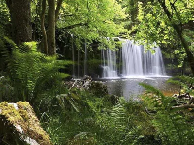 Phu Quoc National Park-Source: Collected