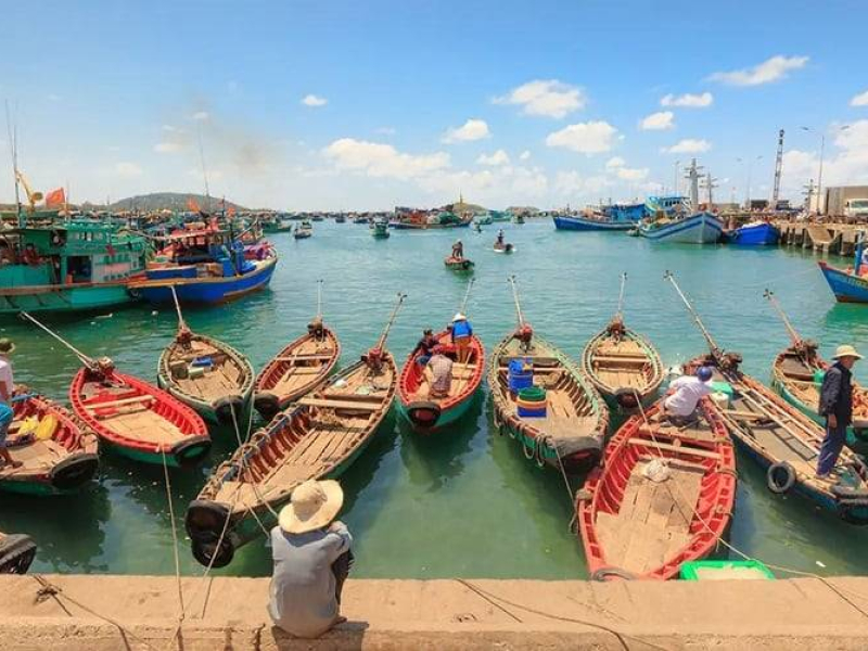 Ho Chi Minh City (Source: Collected) Ho Chi Minh City (Source: Collected)