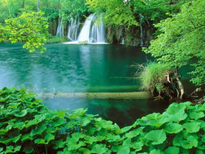 Phu Quoc National Park-Source: Collected