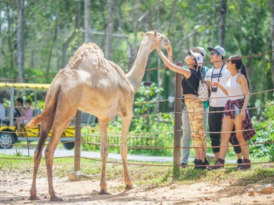 Vinpearl Safari Phu Quoc-Source: Collected Vinpearl Safari Phu Quoc-Source: Collected