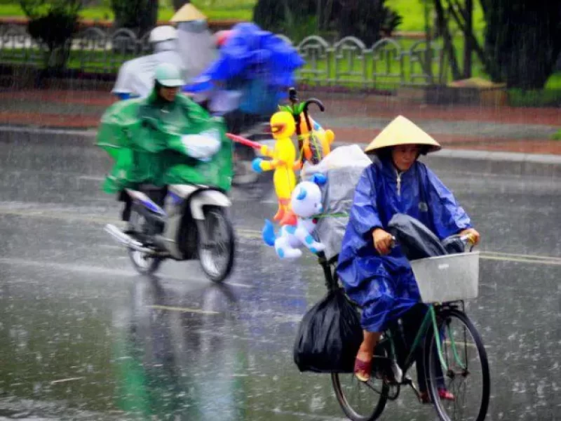The Cold Season in Hue The Cold Season in Hue