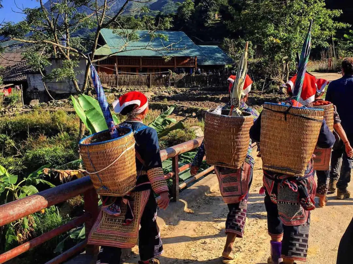 Ban Ho Village: A Hidden Gem in Sapa