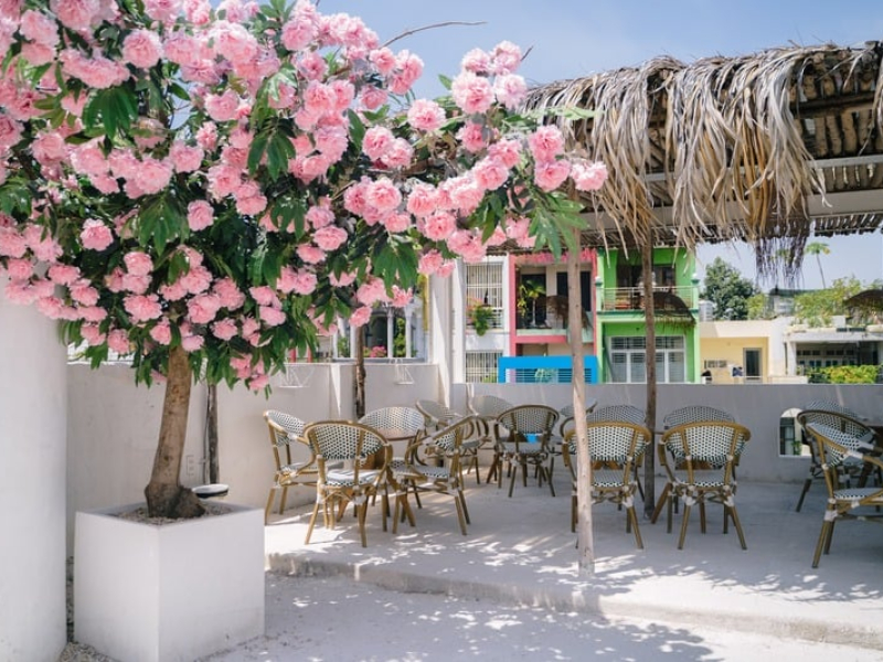 Vom Cafe is a visually aesthetic place for fans of Vietnamese coffee (Source: Collected)