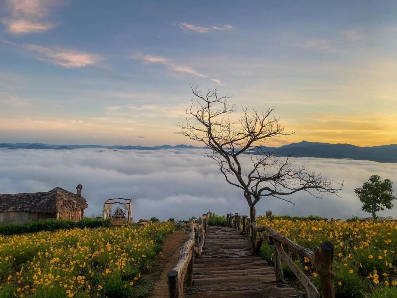 Best Time to Visit Dalat: Tips for Planning Your Trip