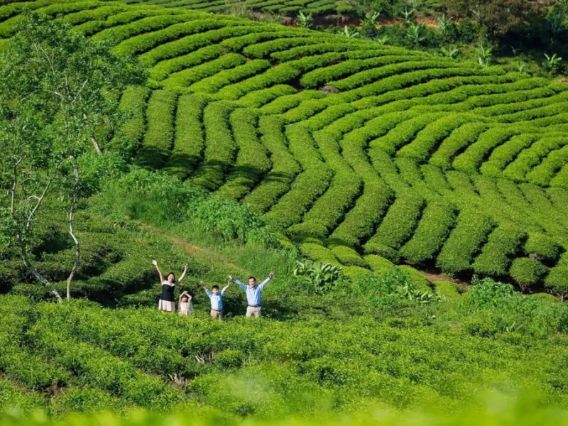 Dalat City weather differs considerably between the dry and rainy seasons (Source: Collected)