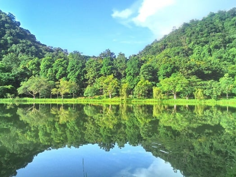 Cuc Phuong National Park - the oldest national park in Vietnam (Source: Collected) Cuc Phuong National Park - the oldest national park in Vietnam (Source: Collected)